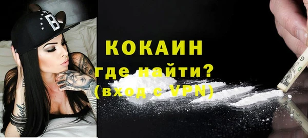 ГАЛЛЮЦИНОГЕННЫЕ ГРИБЫ Абаза