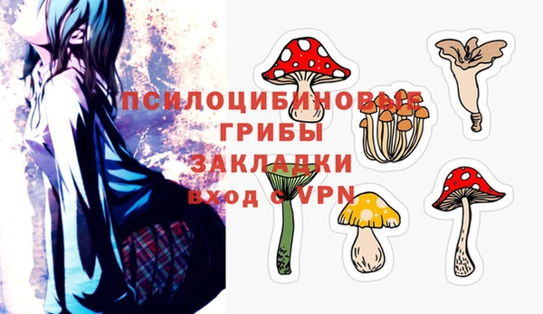 ГАЛЛЮЦИНОГЕННЫЕ ГРИБЫ Абаза