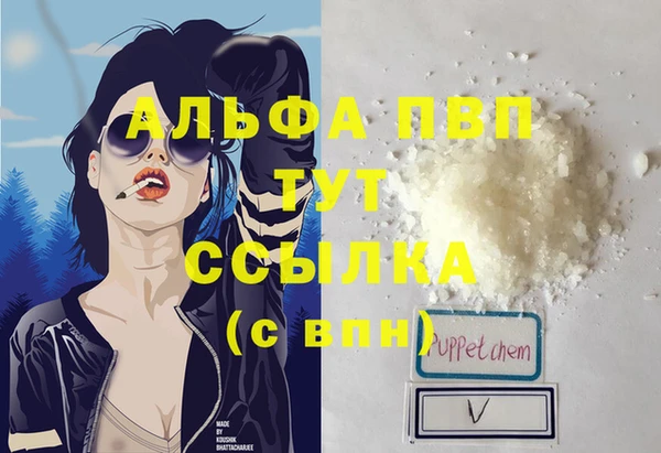 ГАЛЛЮЦИНОГЕННЫЕ ГРИБЫ Абаза