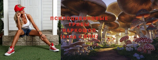 ешки Абдулино