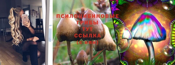 a pvp Алексеевка