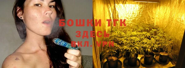 ГАЛЛЮЦИНОГЕННЫЕ ГРИБЫ Абаза